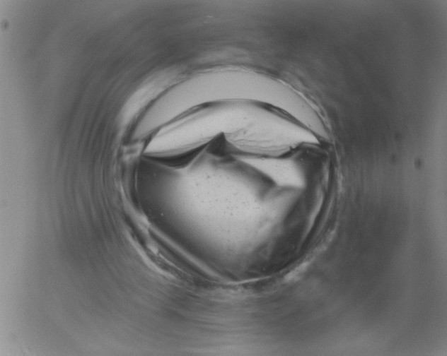 X0000061730245200512231442