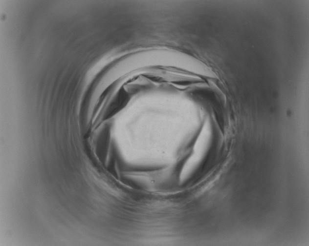 X0000061730246200512231442