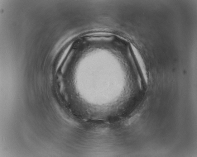 X0000061730247200512231442