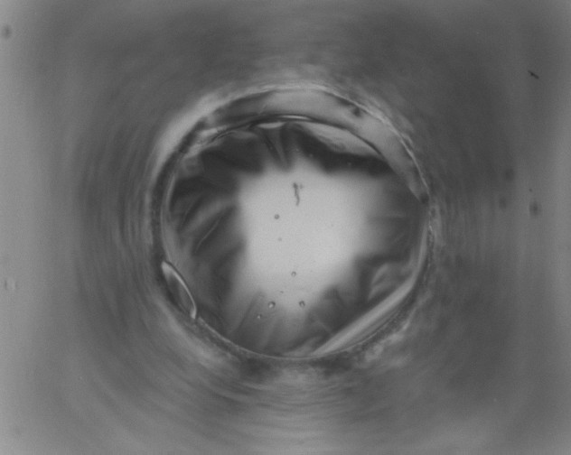 X0000061730248200512231442