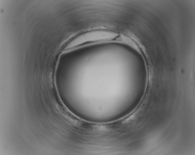 X0000061730249200512231442