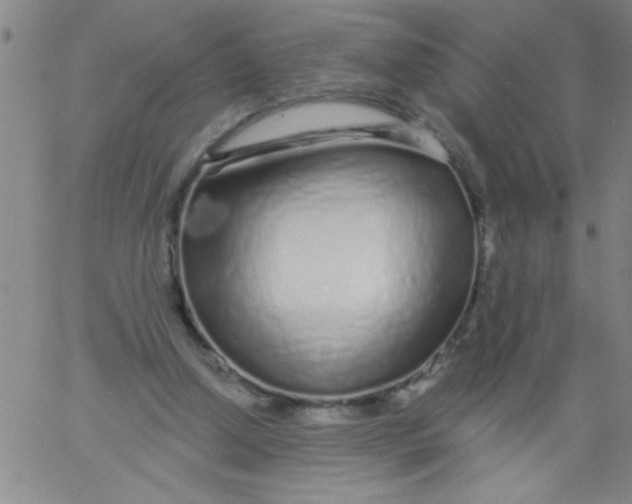 X0000061730250200512231442