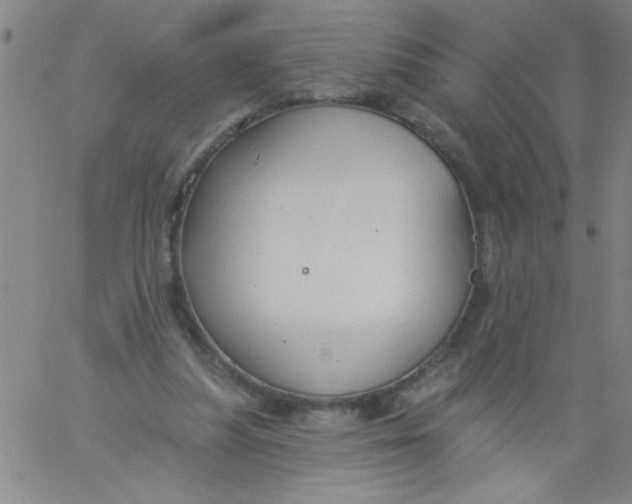 X0000061730251200512231442