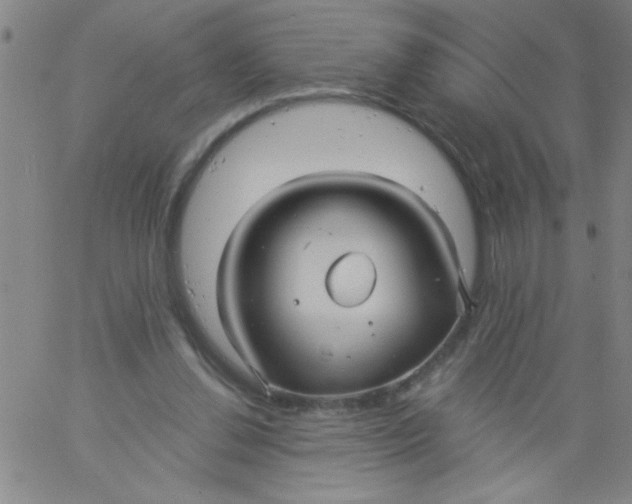 X0000061730252200512231442