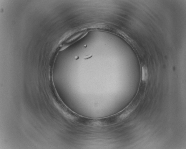 X0000061730253200512231442