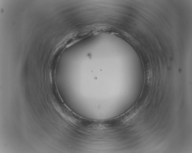 X0000061730254200512231442