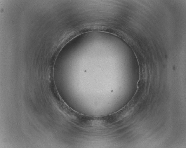 X0000061730255200512231442