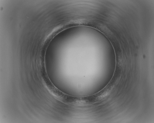 X0000061730256200512231442