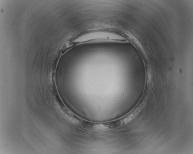 X0000061730257200512231442