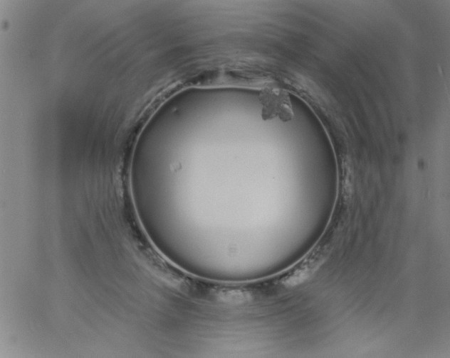 X0000061730258200512231442