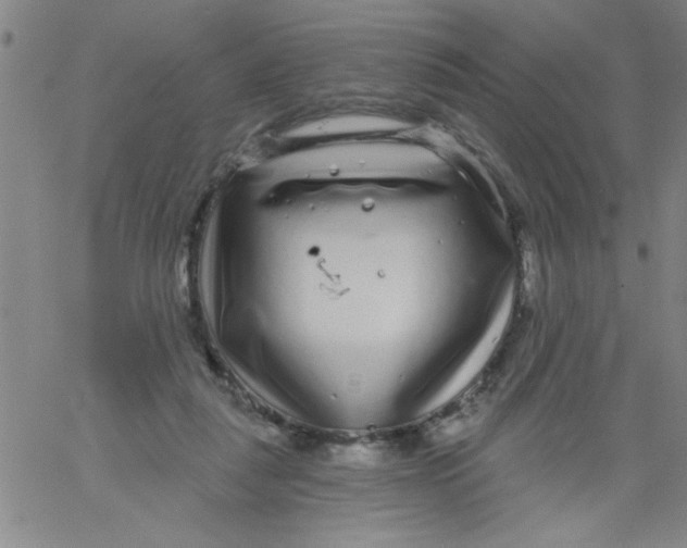 X0000061730259200512231442