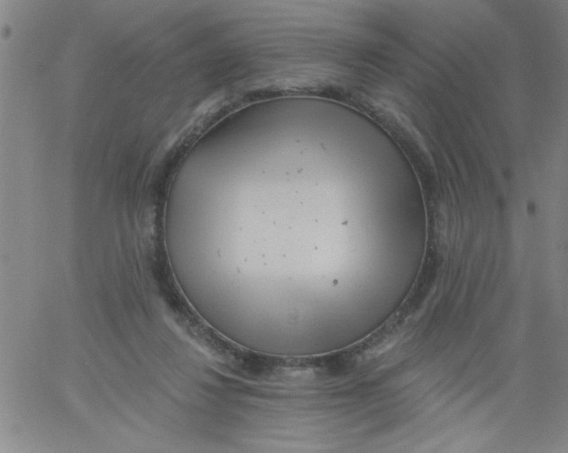 X0000061730260200512231442