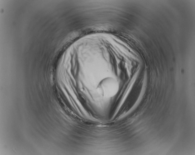 X0000061730261200512231442