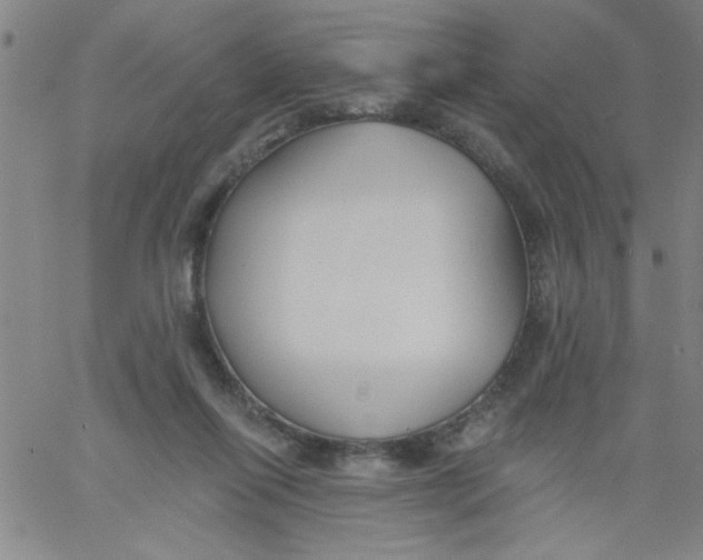 X0000061730262200512231442