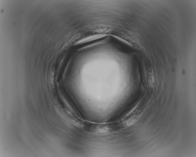 X0000061730263200512231442