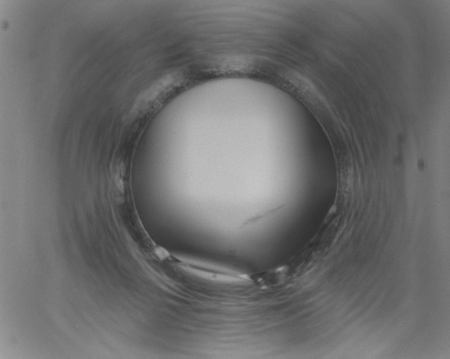 X0000061730264200512231442