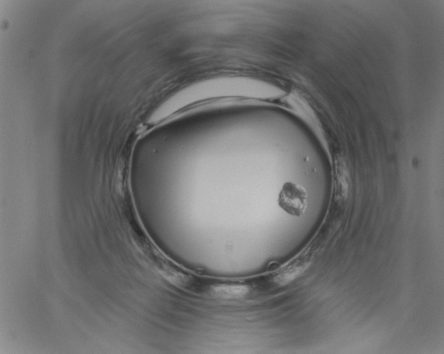 X0000061730266200512231442