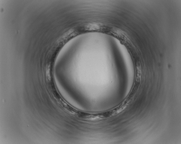 X0000061730267200512231442