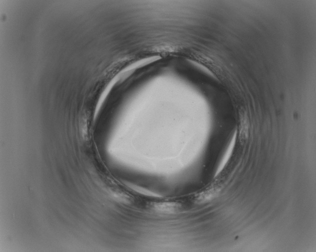 X0000061730268200512231442