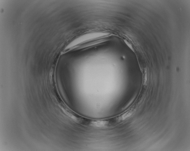 X0000061730269200512231442