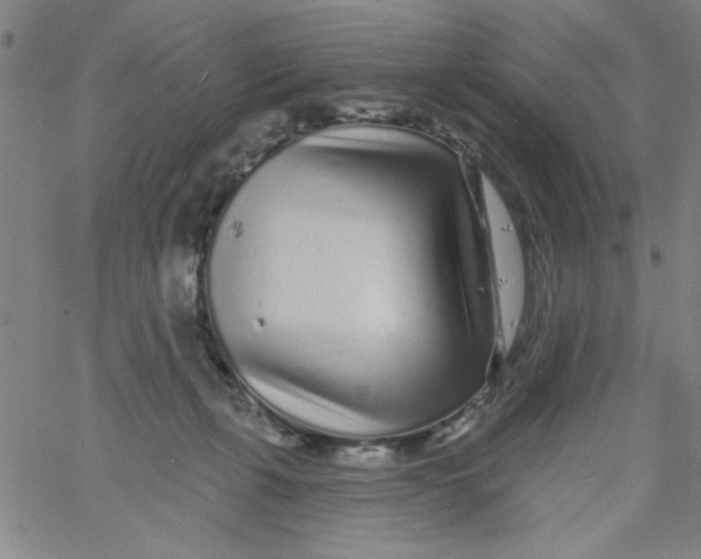 X0000061730271200512231442