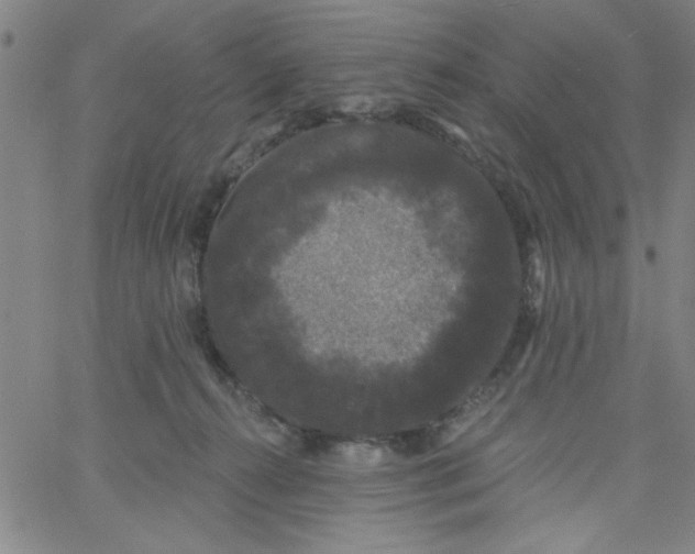 X0000061730272200512231442