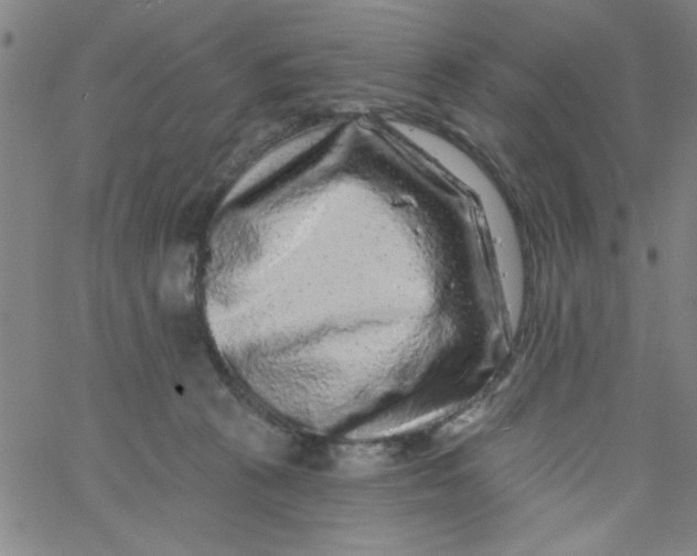 X0000061730273200512231442