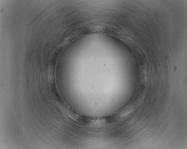 X0000061730274200512231442