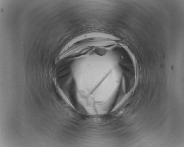 X0000061730276200512231442