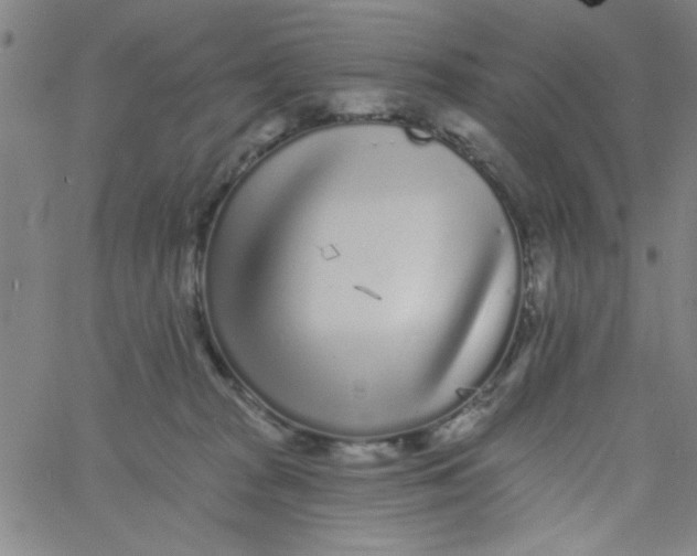 X0000061730277200512231442