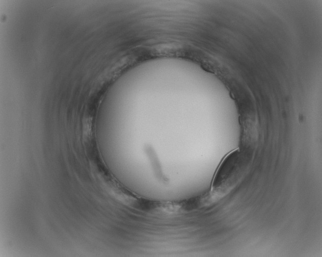 X0000061730278200512231442