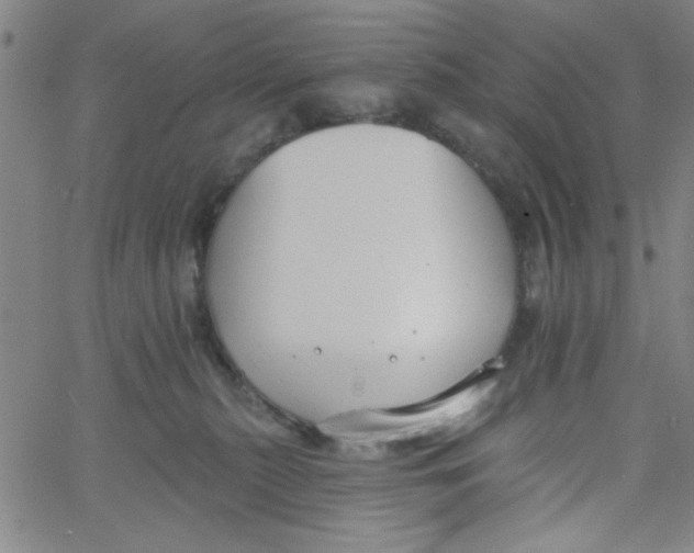 X0000061730279200512231442