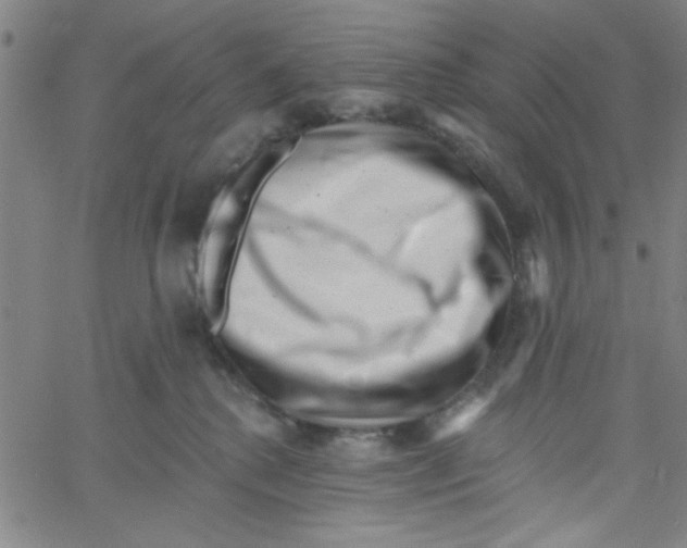 X0000061730280200512231442