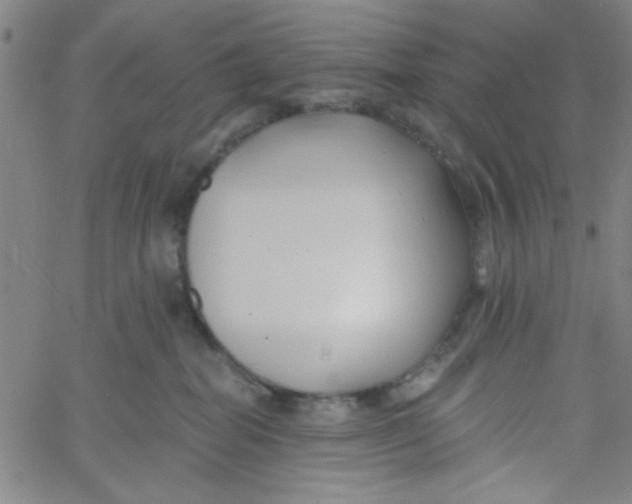 X0000061730282200512231442