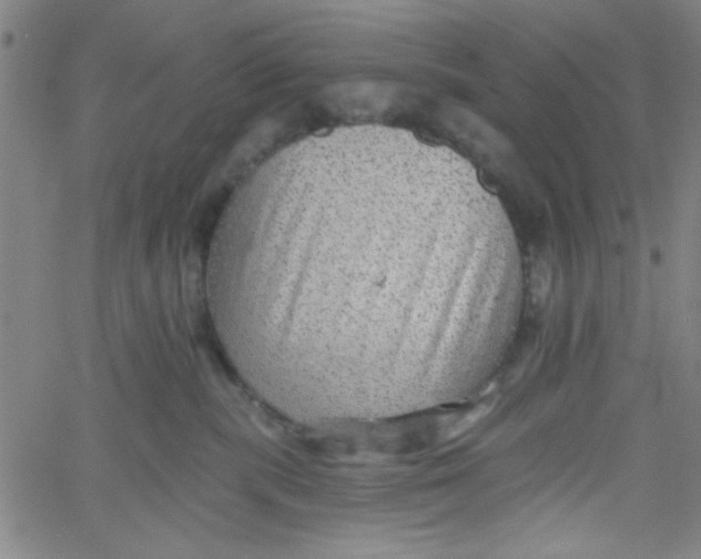 X0000061730283200512231442