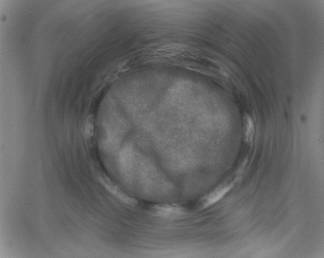 X0000061730284200512231442