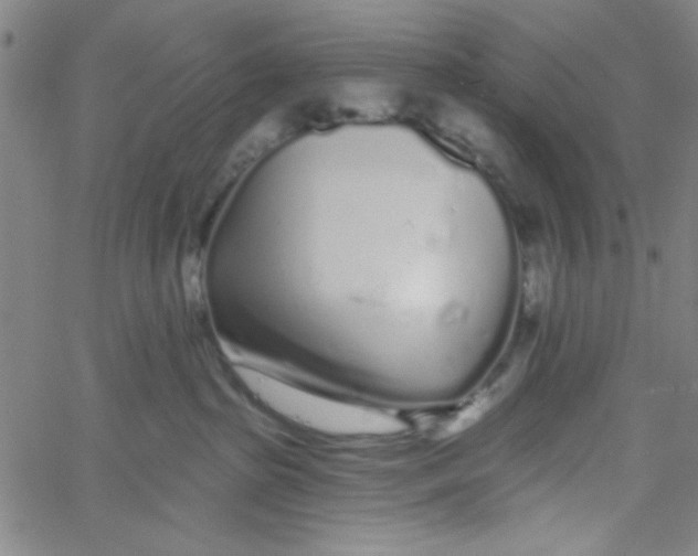 X0000061730285200512231442