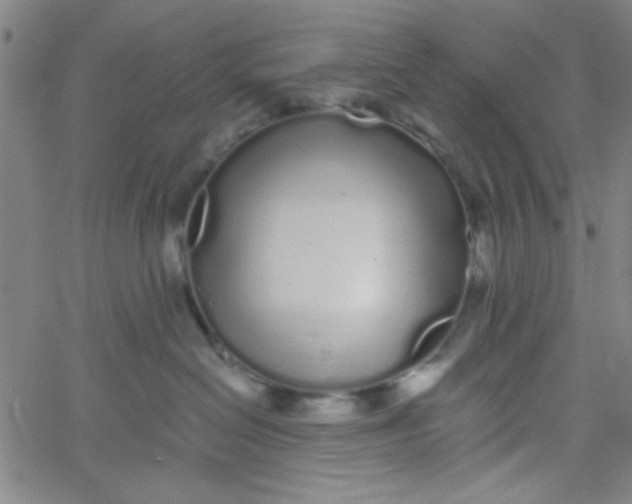 X0000061730286200512231442