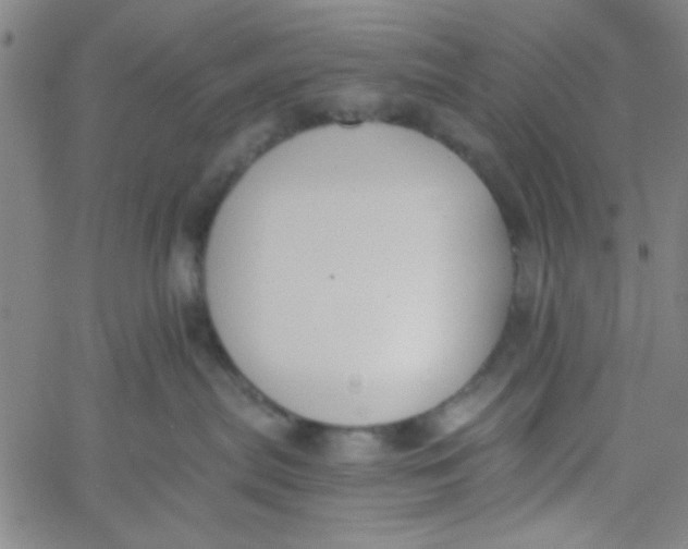 X0000061730287200512231442