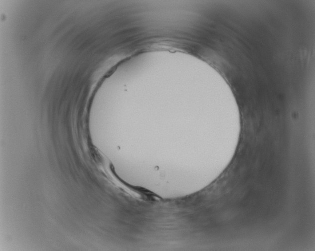 X0000061730289200512231442