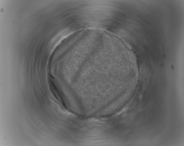 X0000061730290200512231442