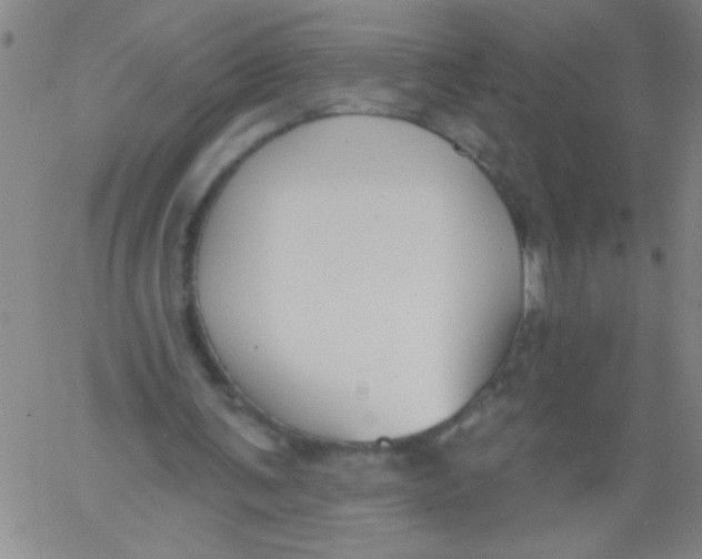 X0000061730291200512231442