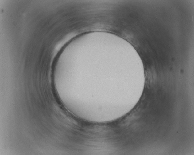 X0000061730292200512231442