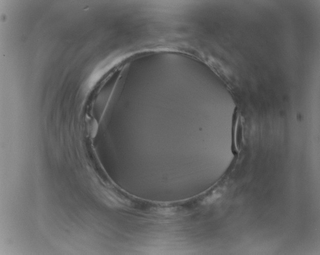 X0000061730295200512231441