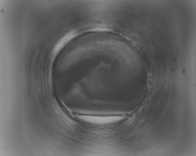 X0000061730296200512231441