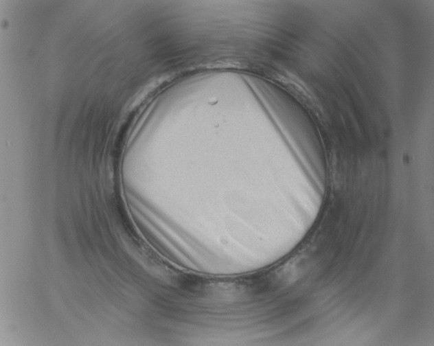 X0000061730298200512231441