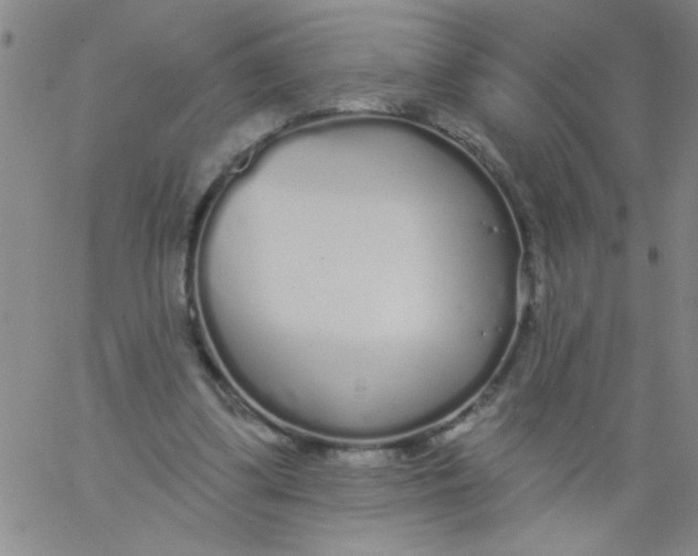 X0000061730299200512231441