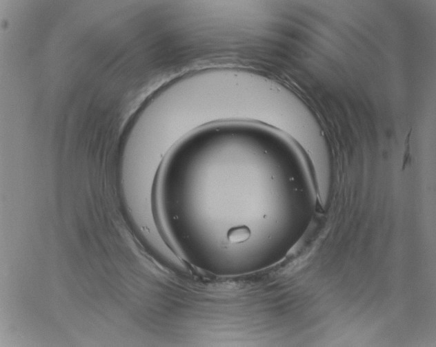 X0000061730301200512231441