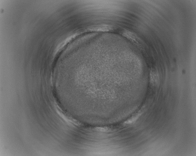 X0000061730302200512231441