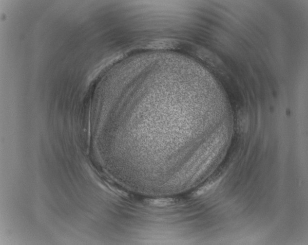 X0000061730303200512231441